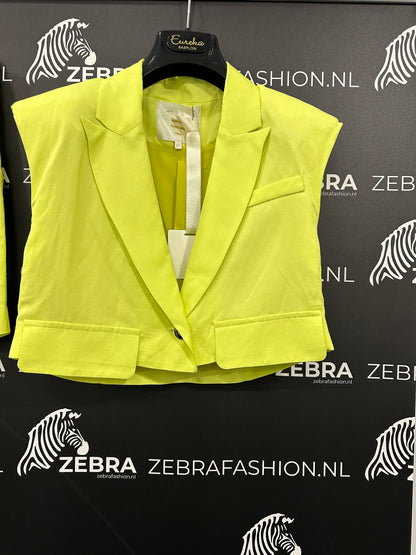 Babylon gilet